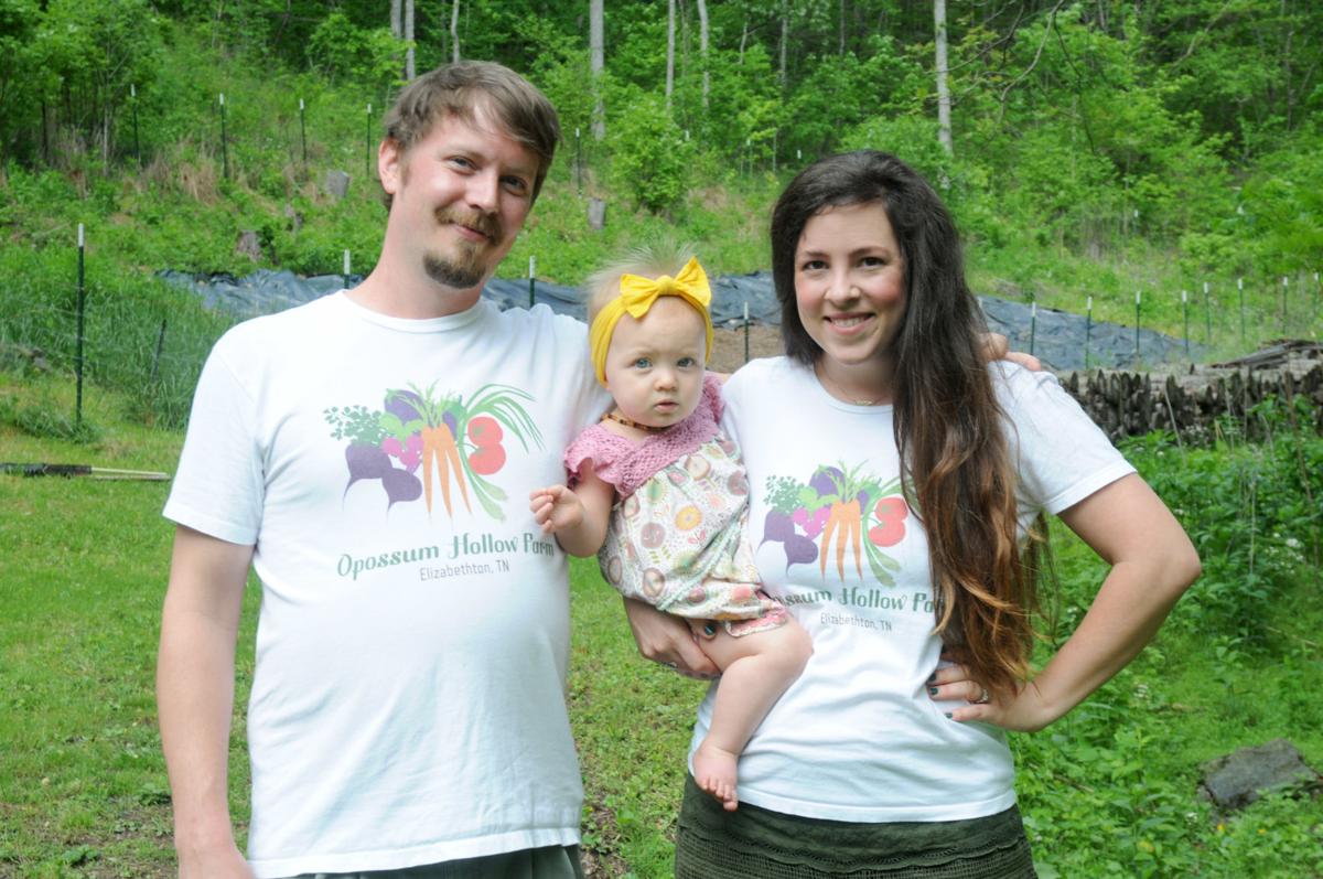 Opossum Hollow Farm A Green Acres Plot Playing Out In Carter County Johnsoncitypress Com
