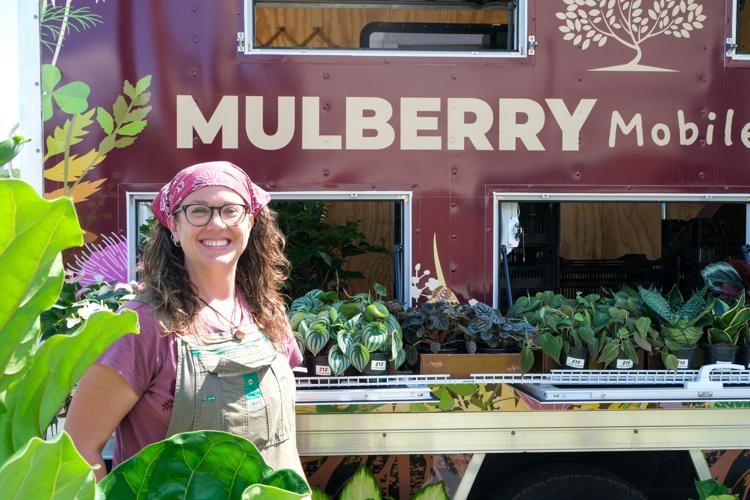 Mulberry Mobile Nursery