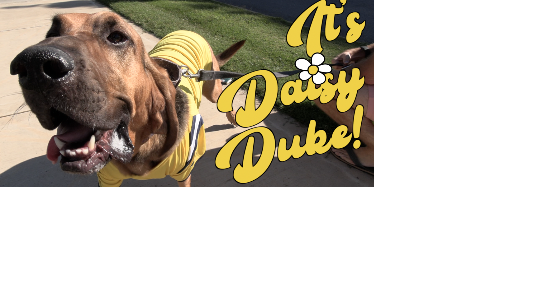 Tailgating at ETSU with Daisy Duke! Video