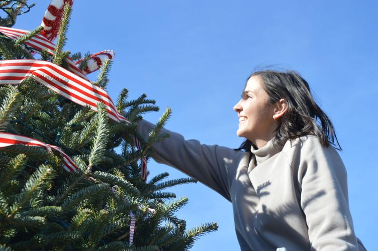 PHOTOS Groups decorate 150 Christmas trees in Founders, King Commons