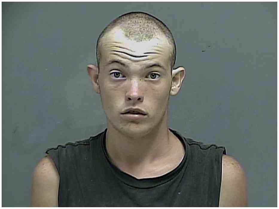 Police: Wrecked, stolen car leaves Kingsport man crying and ...