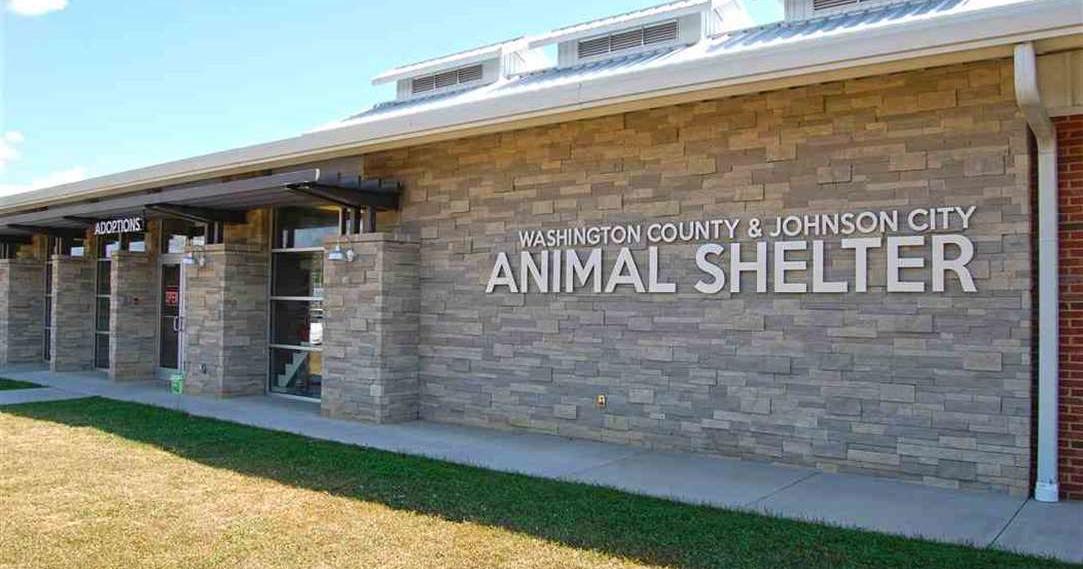 Financial struggle: Washington County-Johnson City Animal Shelter lost  $20,704 in July | News 