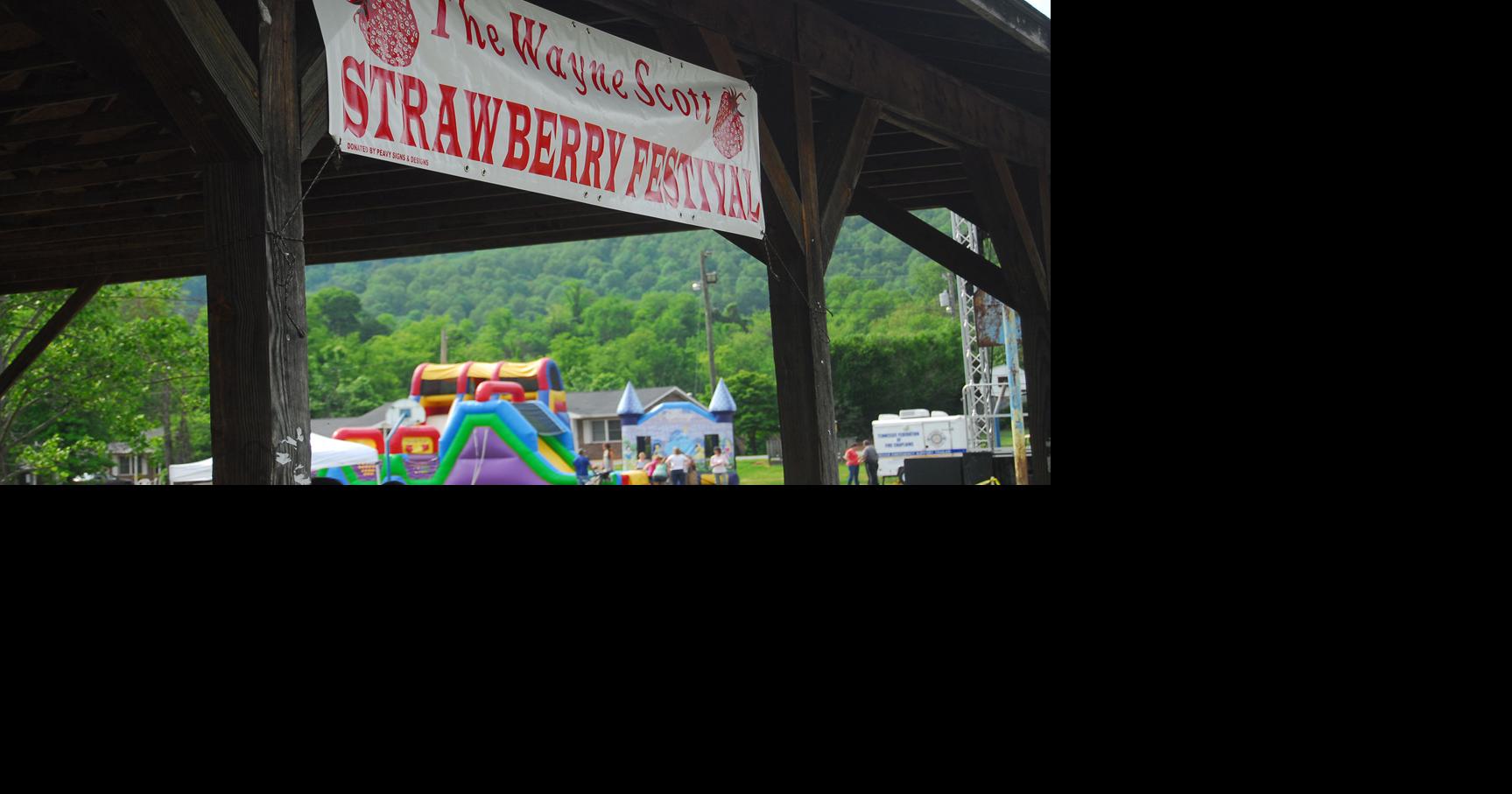 Unicoi calling all hands for 17th annual Strawberry Festival Living