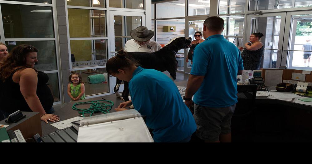 Washington CountyJohnson City Animal Shelter, June 16 PHOTOS