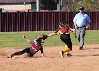 Breaking Down the Science of the Stolen Base, Science