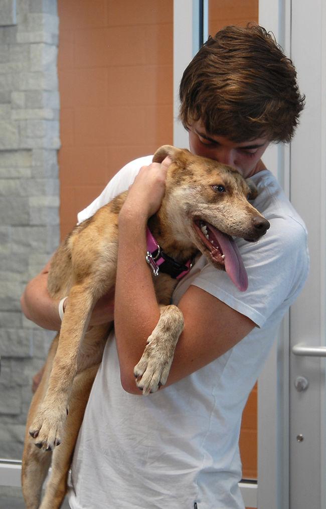 Washington CountyJohnson City Animal Shelter to provide the means for
