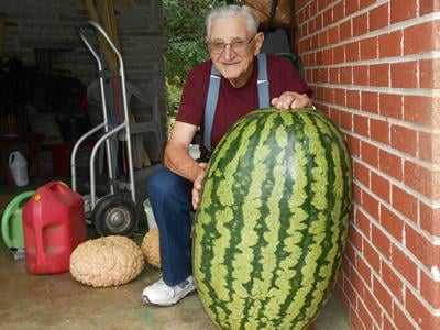 One Big Melon Limestone Man Grows 156 Lb Watermelon Living Johnsoncitypress Com