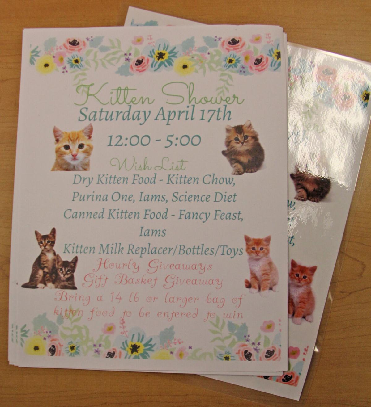 Kitten Shower