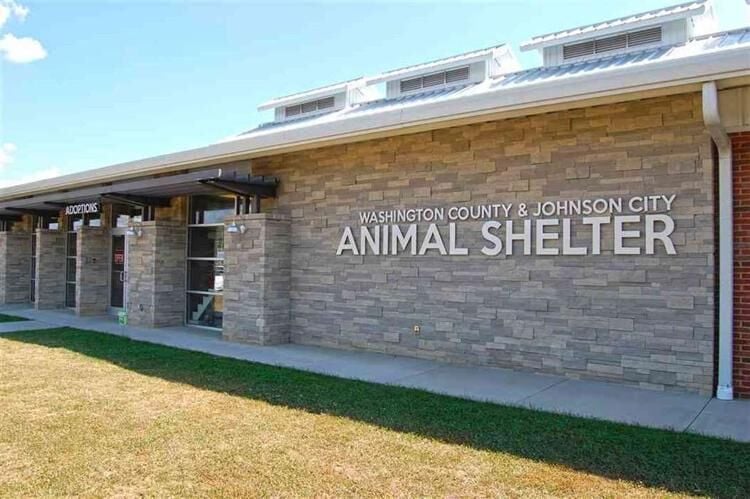 Washington County Animal Shelter Deals With Influx Of Animals Staffing   6081970350962.image 