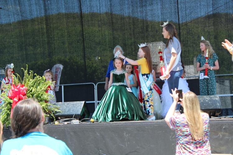 Wayne Scott Strawberry Festival returns to Unicoi News