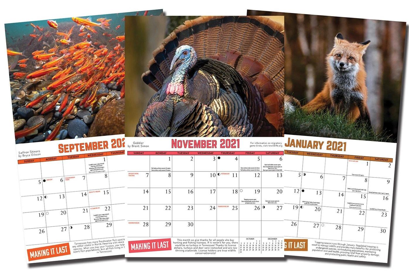 Northeast Tennessee Photographer's Work Chosen For Tennessee Wildlife  Calendar | | Johnsoncitypress.com