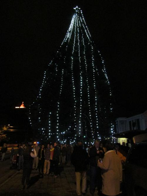 With The Lighting Of Its 78 Foot Christmas Tree Its Begining To Look A Lot Like Christmas In Elizabethton Living Johnsoncitypress Com