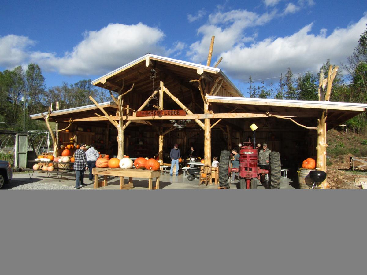 Laurels Pumpkin Barn has plenty of variety, color and stories