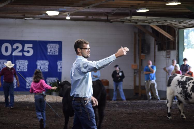 Judge at Beef Show