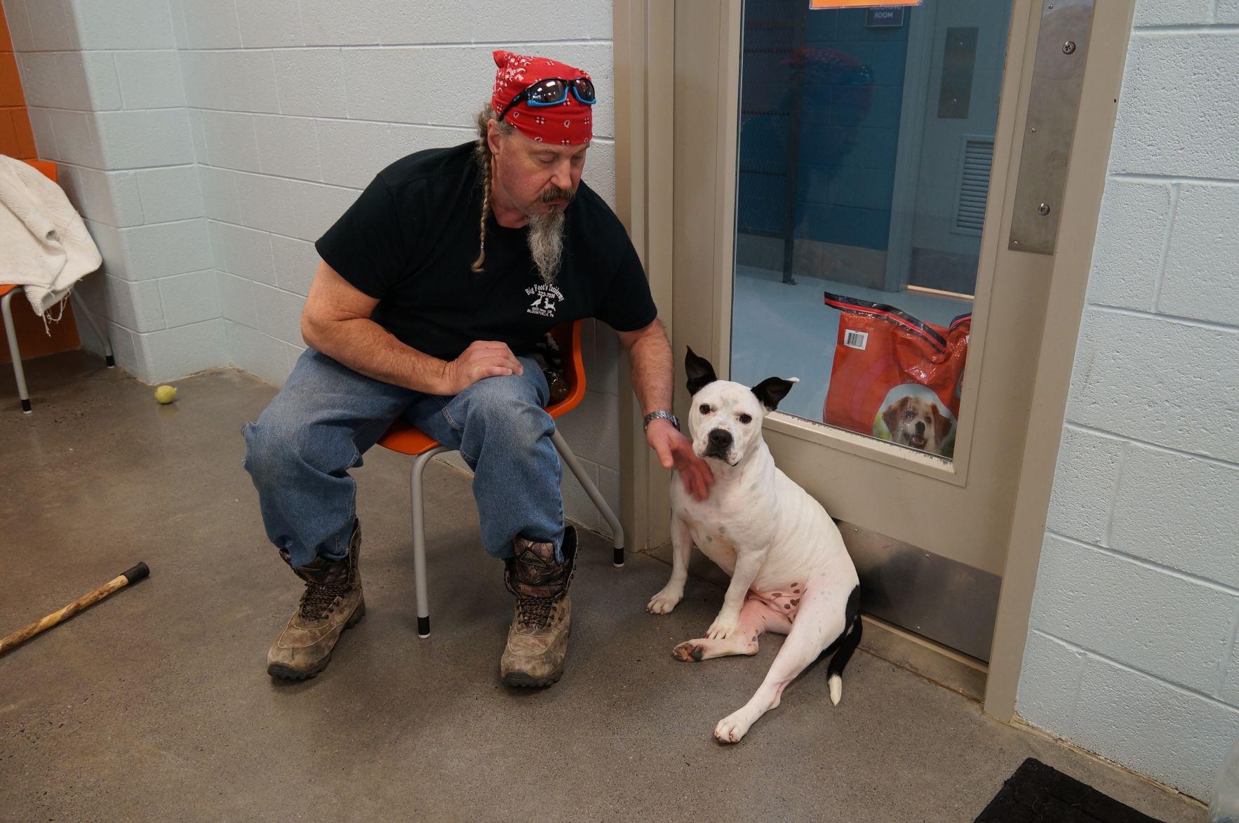 WCJC Animal Shelter, March 9 Dog Photos