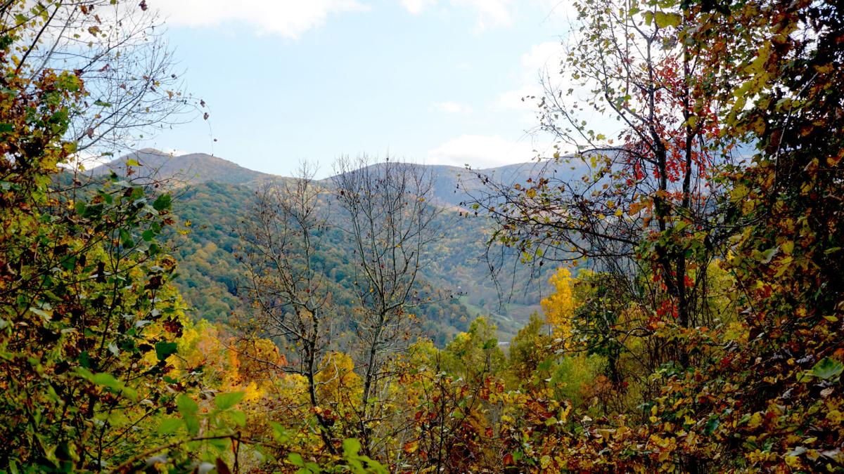 Southern Appalachian Highlands Conservancy acquires 150 acres for Roan Mountain State Par