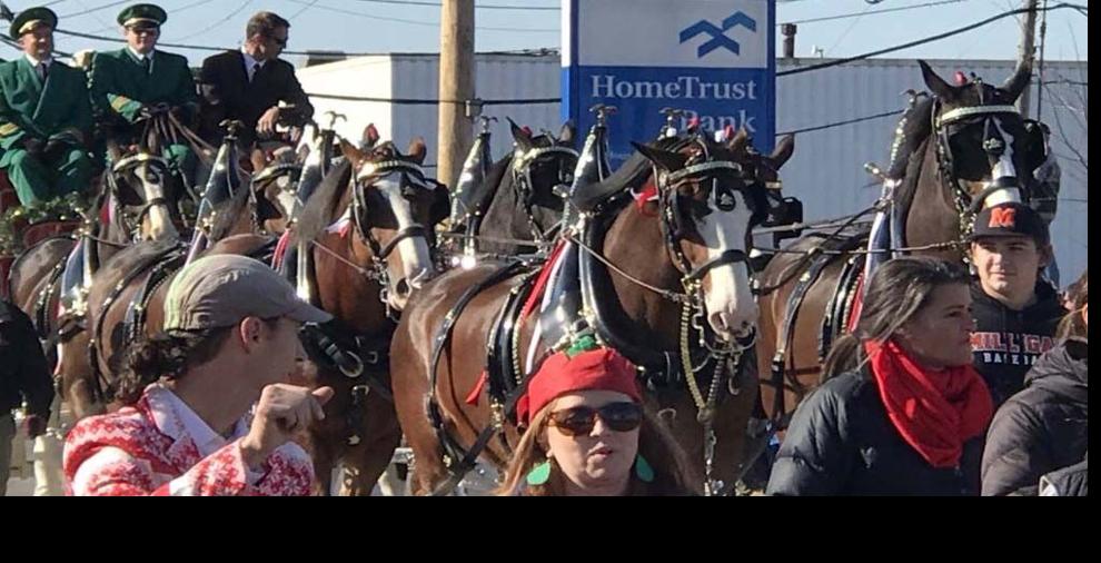 Budweiser Clydesdales coming to Johnson City Christmas Parade Entertainment