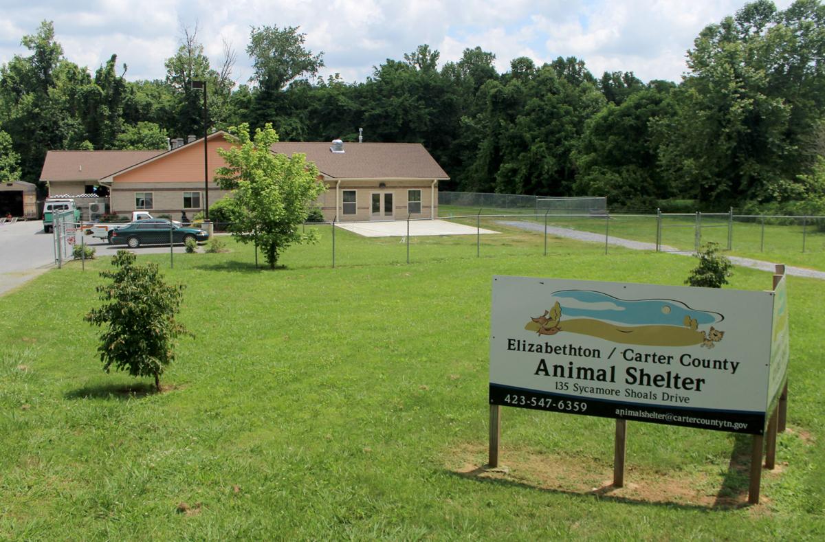 Carter Co. Animal Shelter: Looking for ‘furever’ homes | Pets