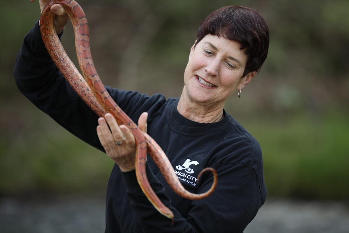 images How To Scare Snakes Away While Hiking trail outdoors johnsoncitypress com