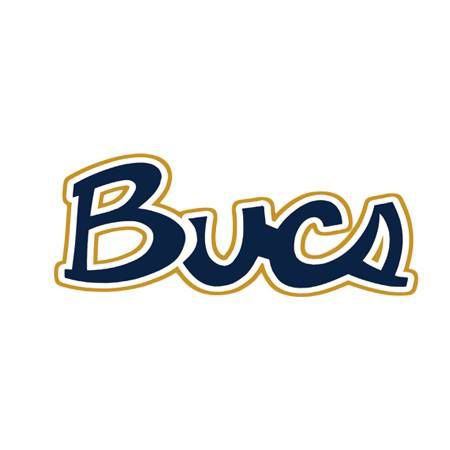 UPDATE: ETSU unveils new Buccaneer logos, Bucs to play at Freedom Hall ...