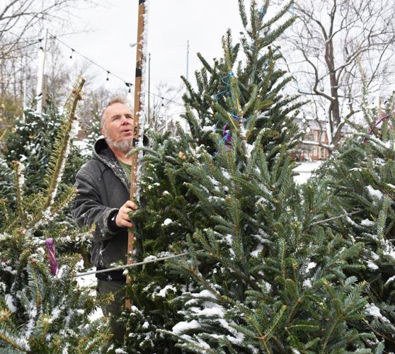 Boy Scout Christmas tree lot continues its holiday tradition Living