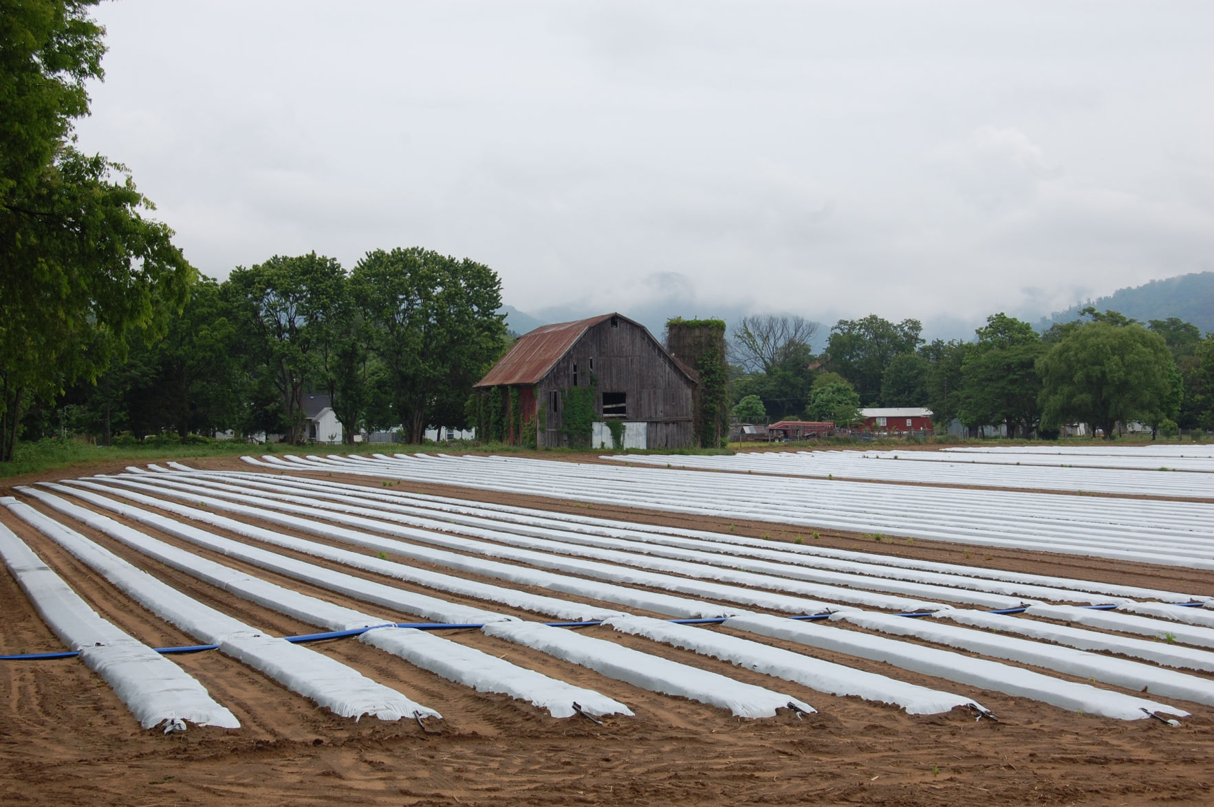 Federal Assistance Available To Local Farmers Suffering Drought Losses ...