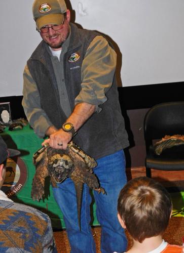 Learning about reptiles