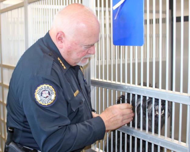 Woman faces animal cruelty charges after 50 dogs seized | News ...