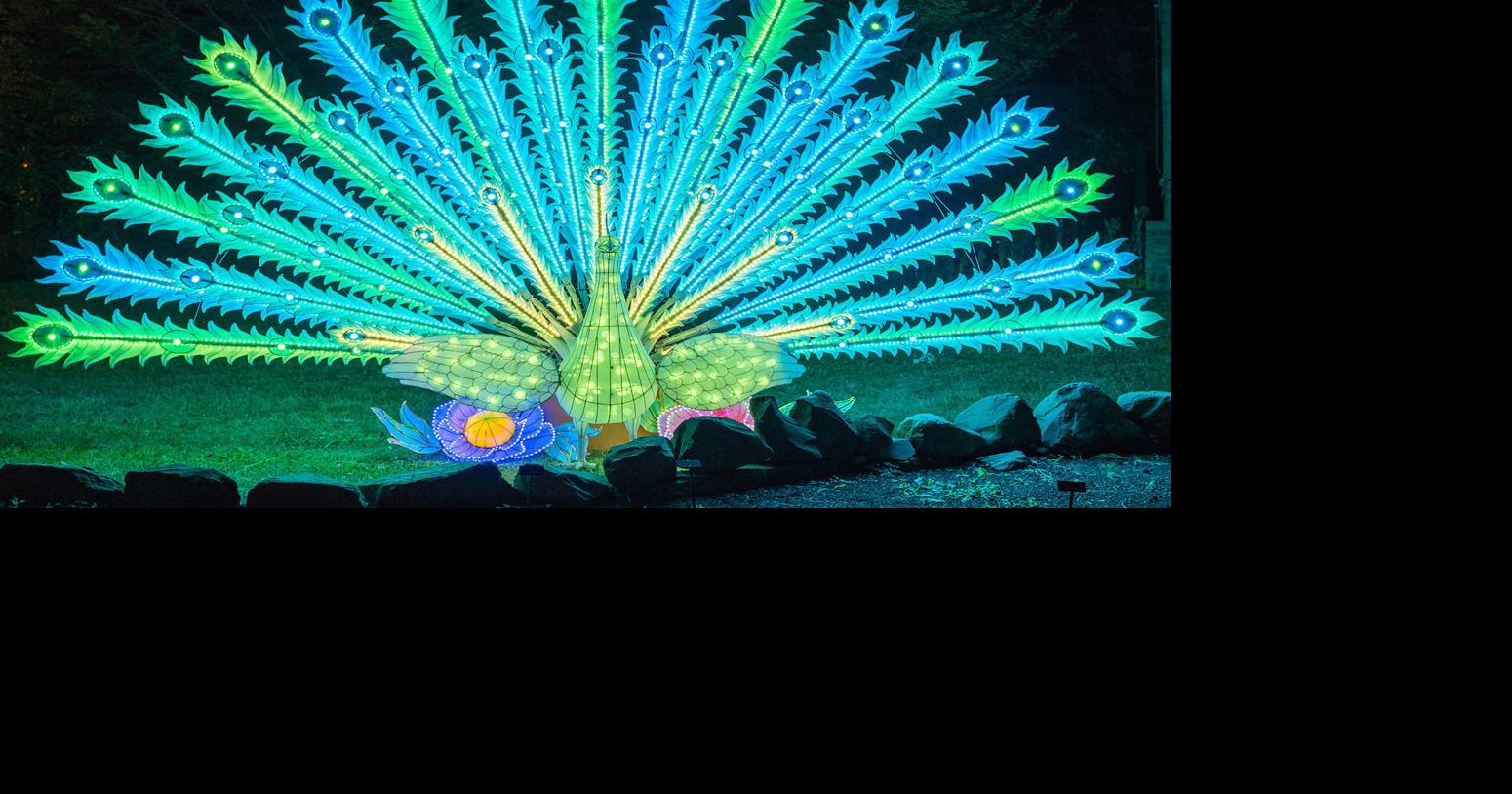 The Little Rock Zoo hosts Holiday Lantern Festival Announcements