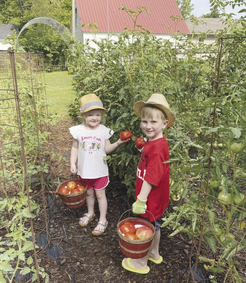 Grandpa's garden