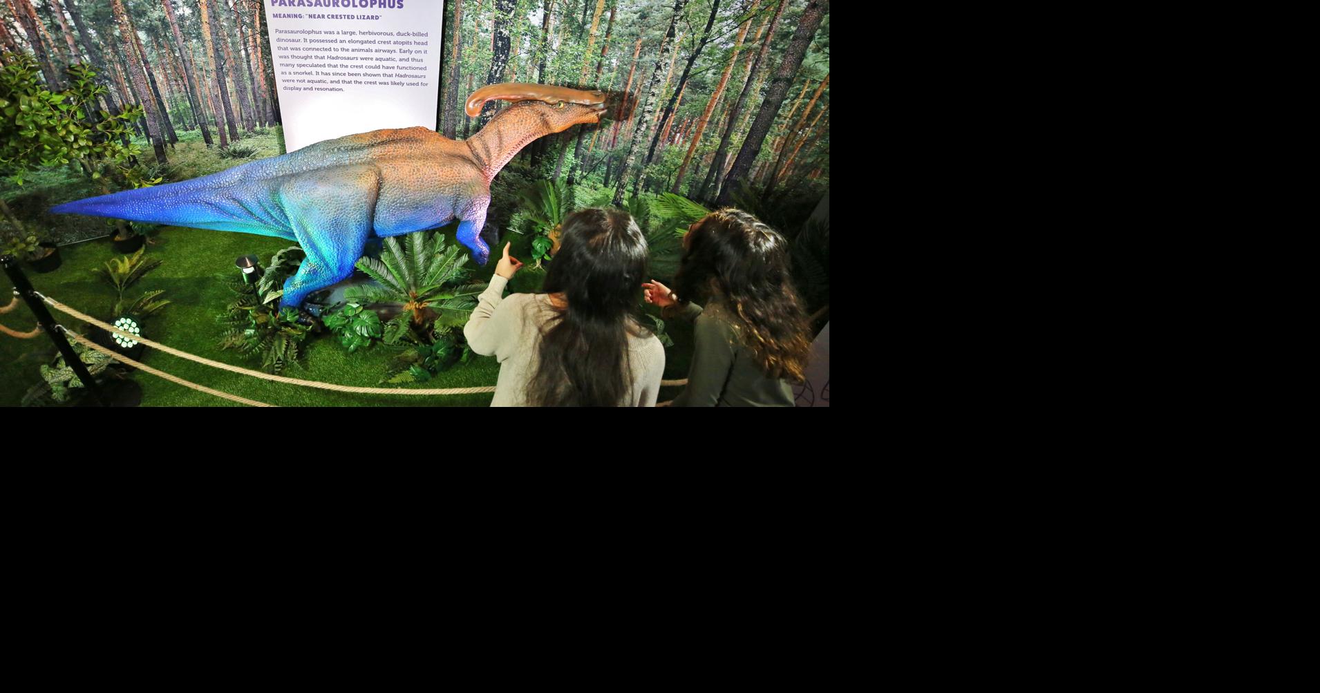 Clinton Presidential Center to debut 'Dinosaur Explorer
