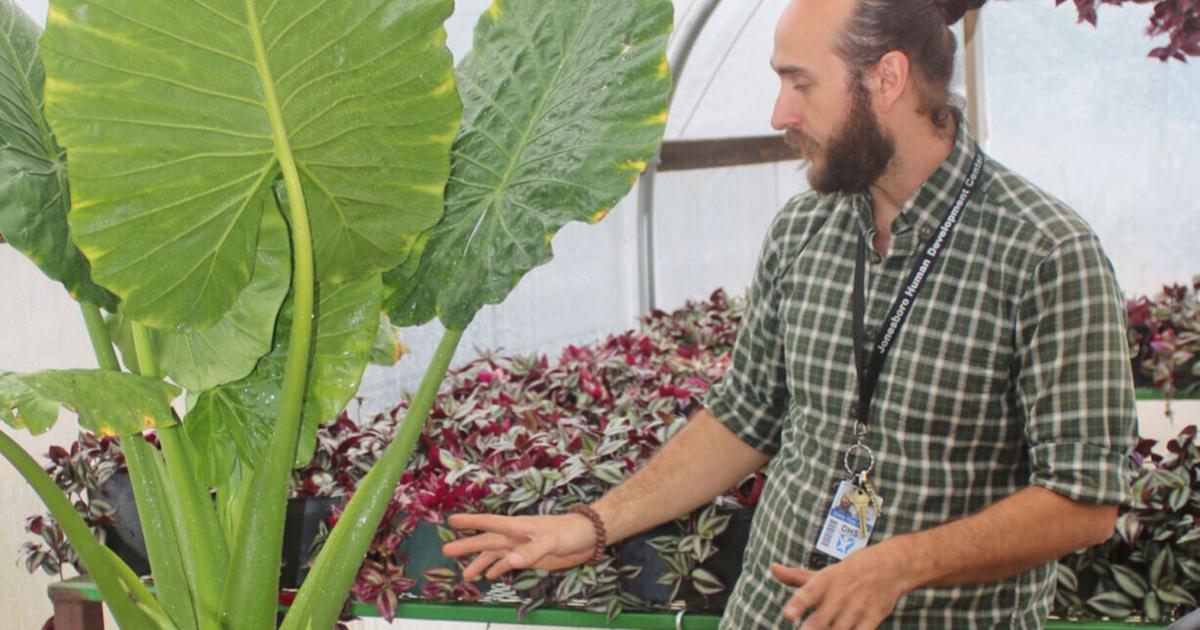 JHDC Plans First Earth Day Plant Sale News Jonesborosun jhdc-plans-first-earth-day-plant-sale-news-jonesborosun