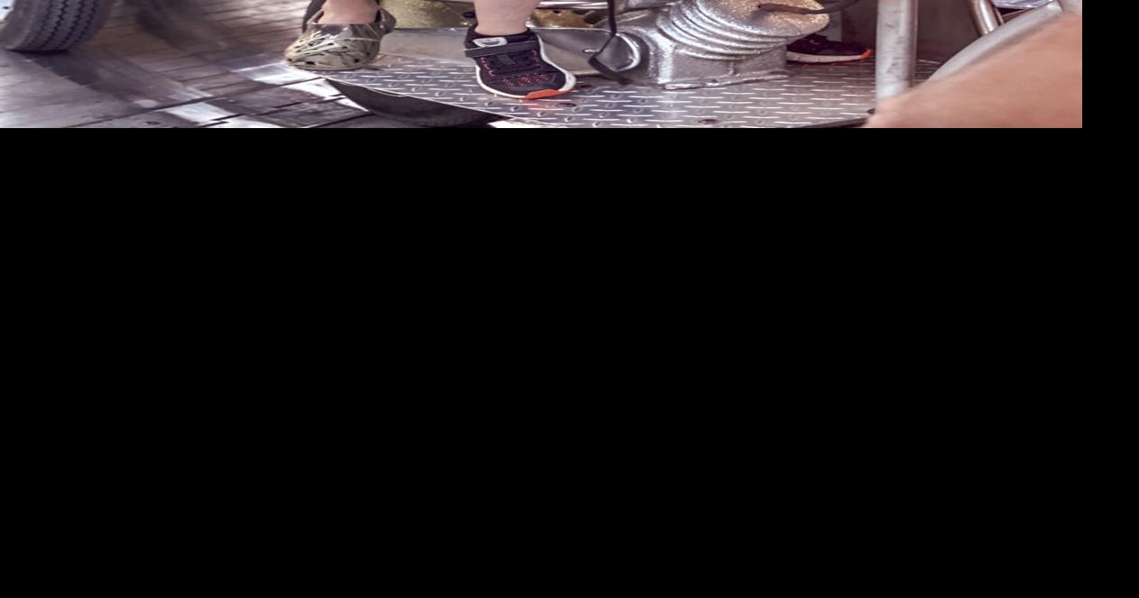 Portia picnic enjoys busy year News