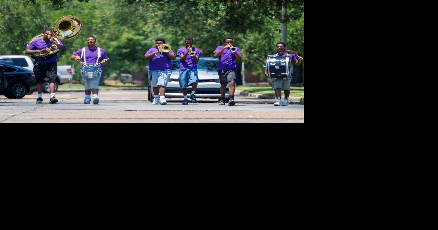 LSU System