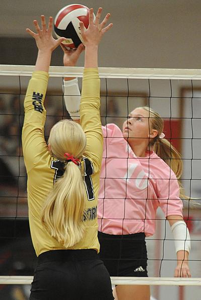 Area volleyball roundup | Sports | jonesborosun.com