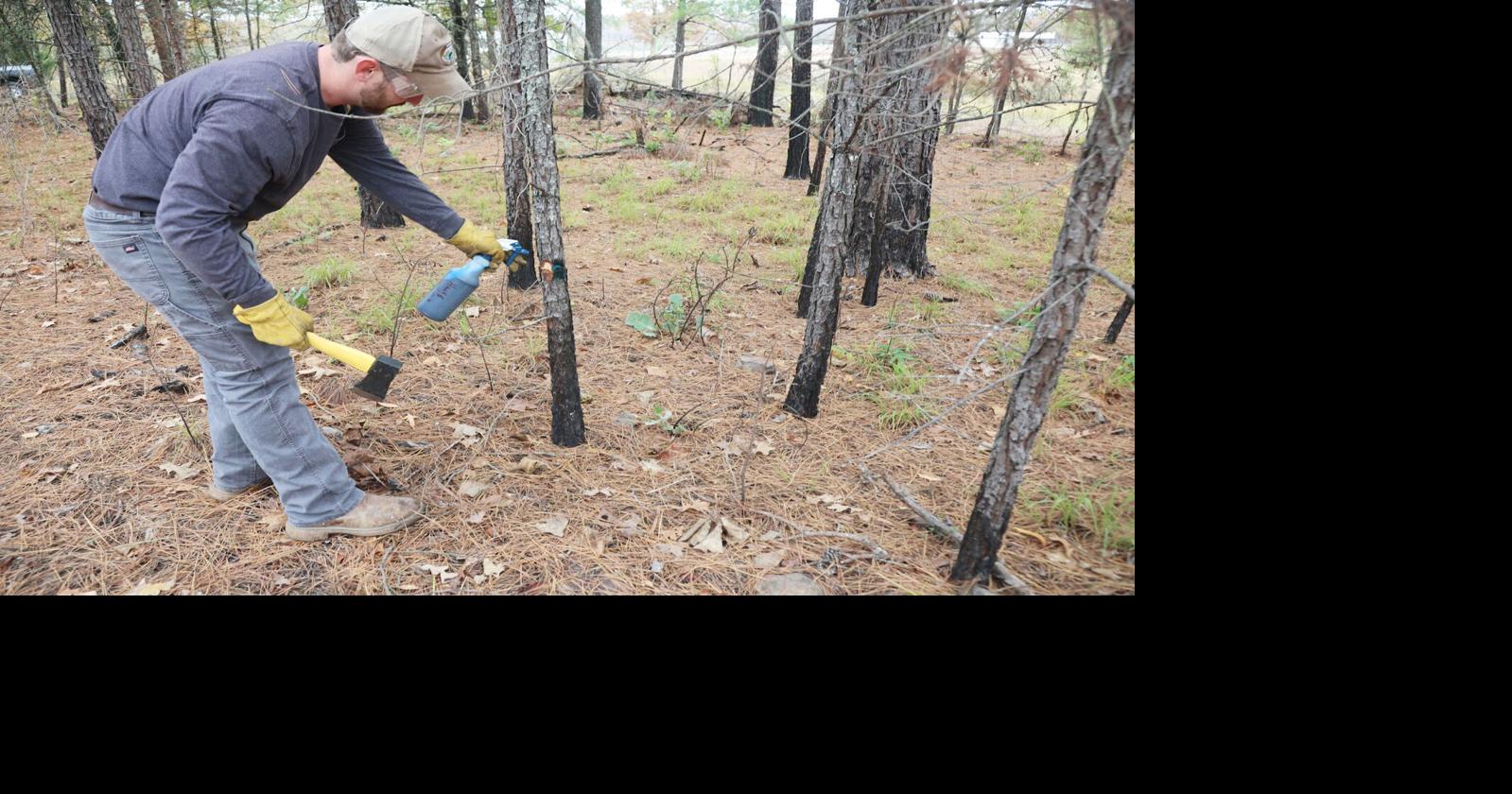 AGFC announces second round of Conservation Incentive Program