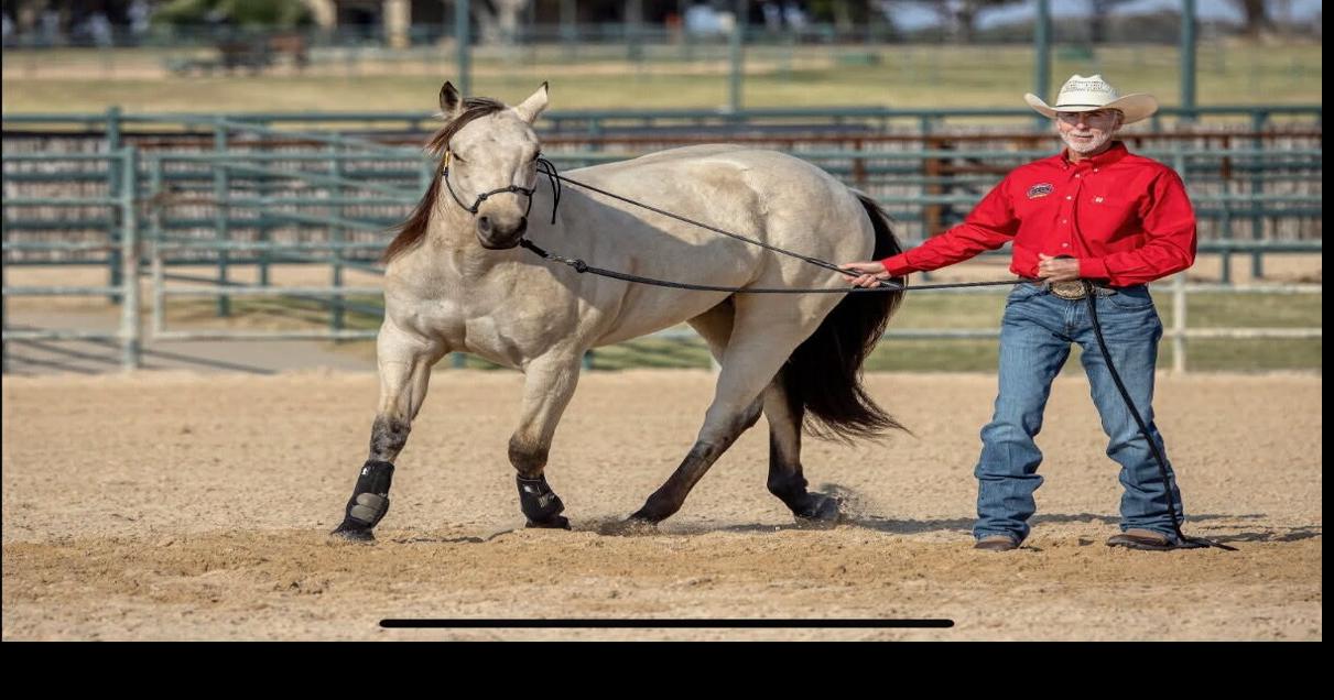 Jonesboro Horsemanship Workshop June 12 through 14