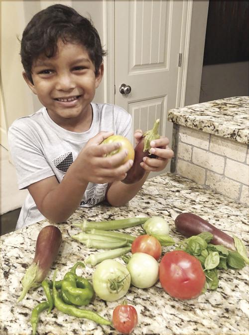 Home-grown veggies