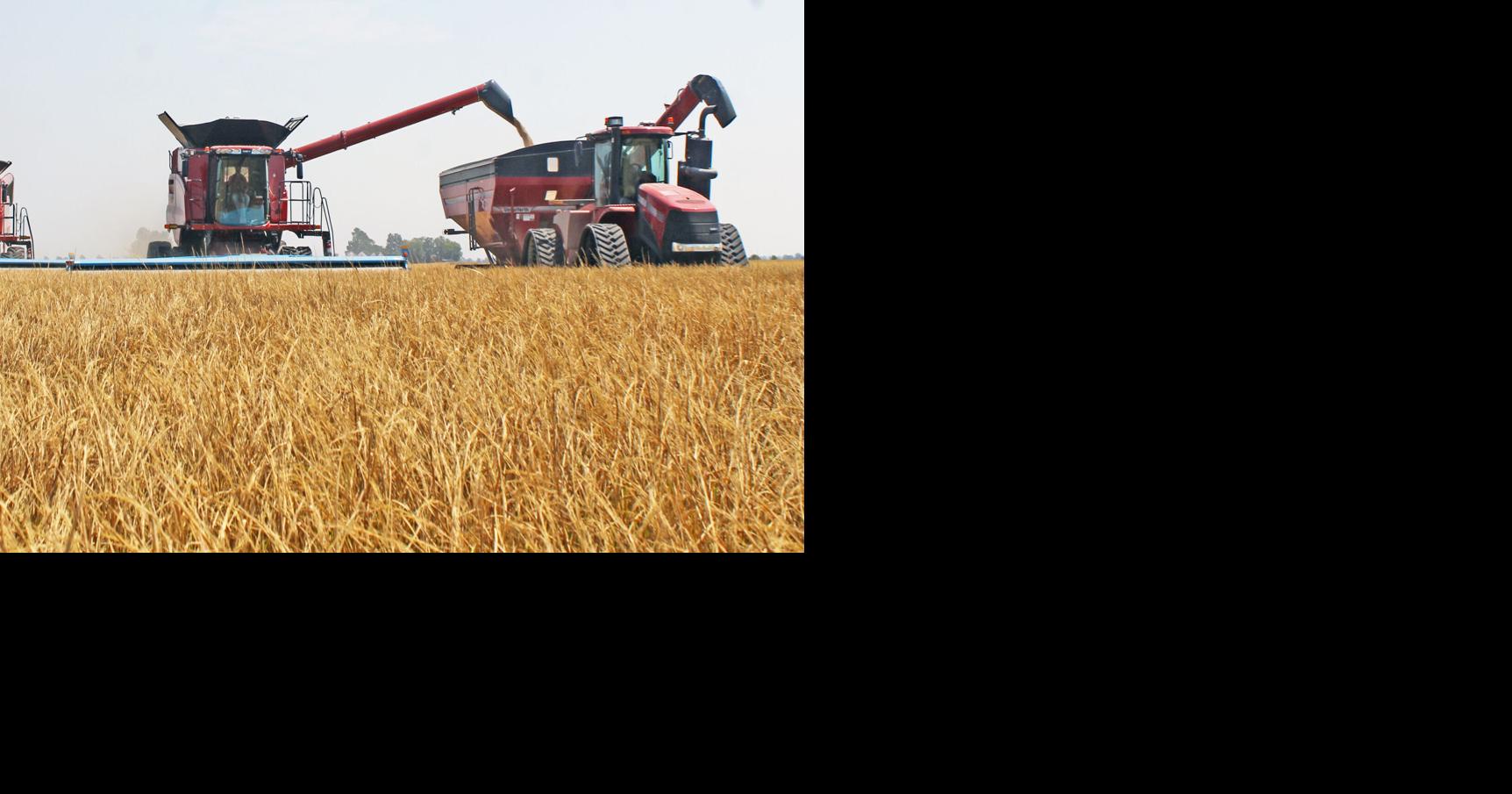 RICE HARVEST UNDERWAY IN LAWRENCE COUNTY | Times Dispatch ...