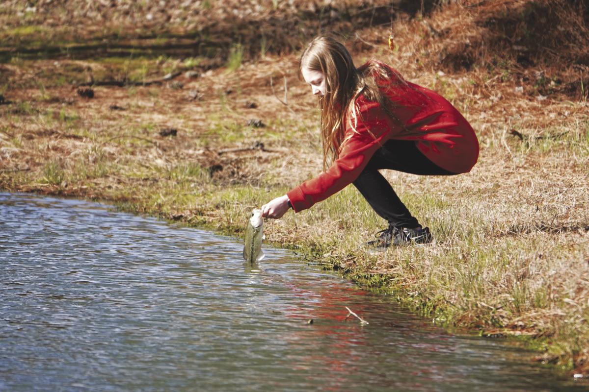 Catch and release
