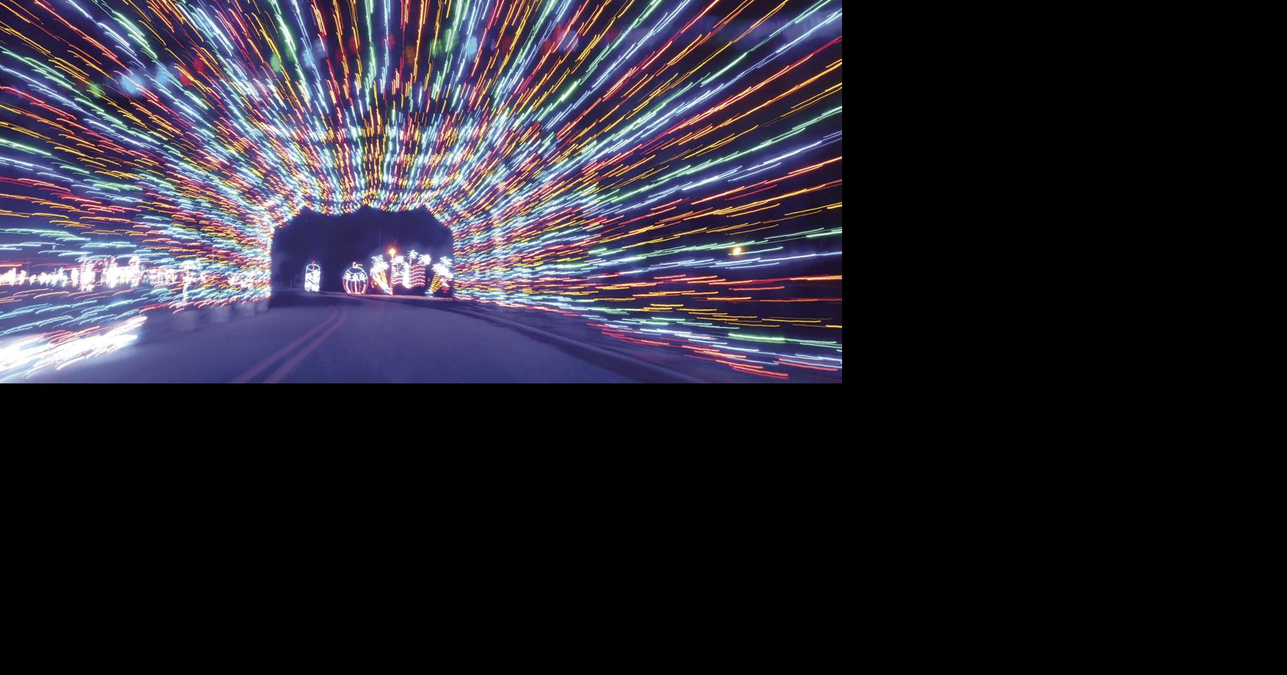 Christmas at the Park back, brighter than ever Local News