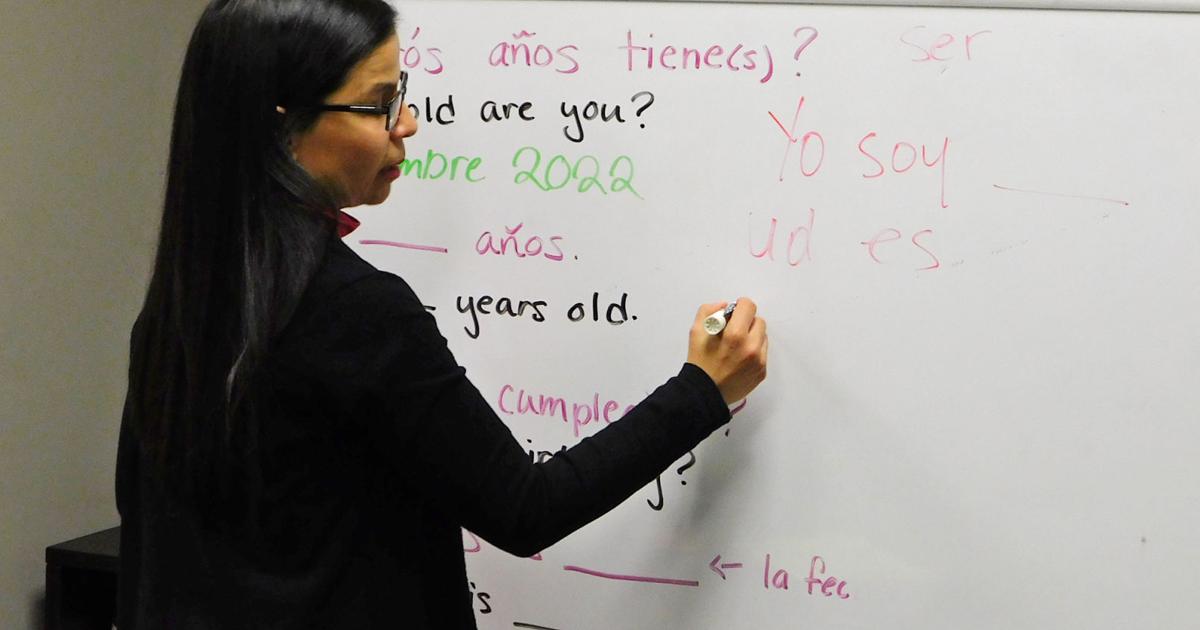 Las clases especializadas de español ofrecen oportunidades de formación individual |  noticias