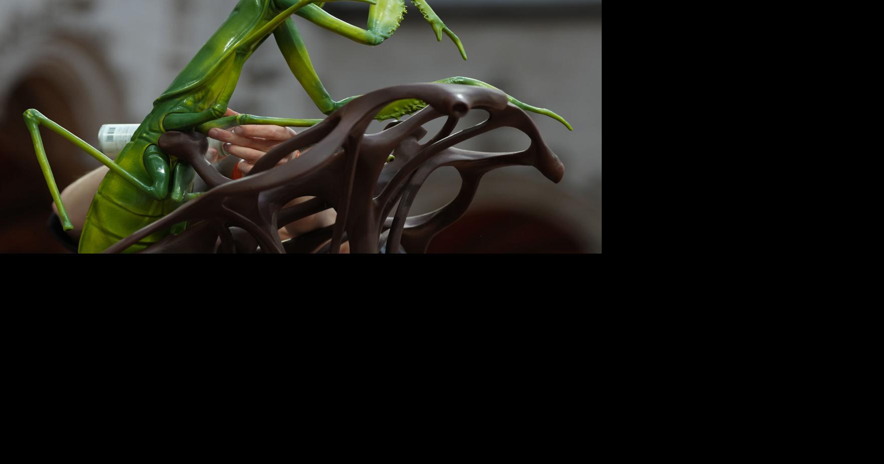 Belgium Chocolate Masters | World | jonesborosun.com
