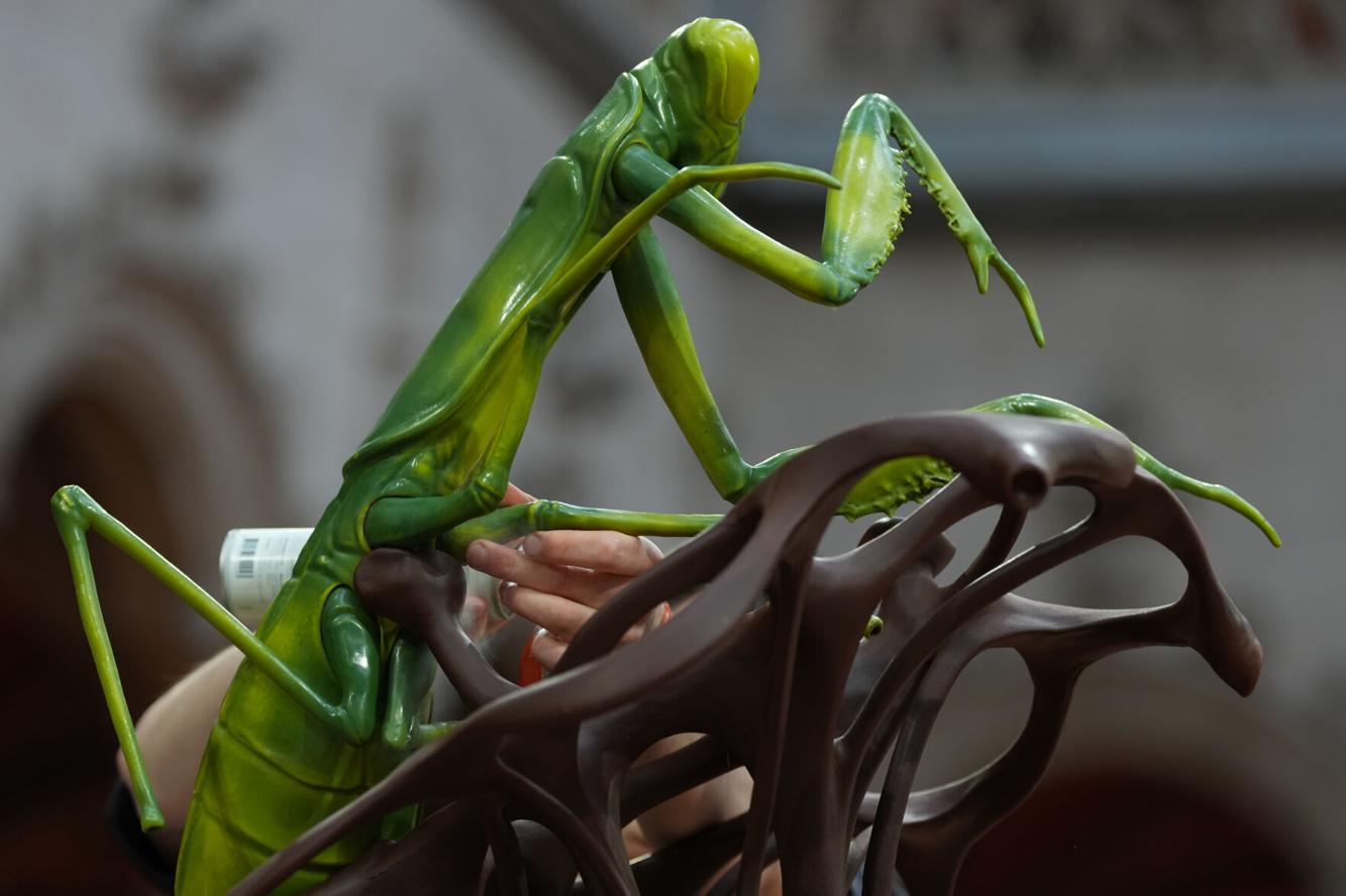 Belgium Chocolate Masters | World | jonesborosun.com