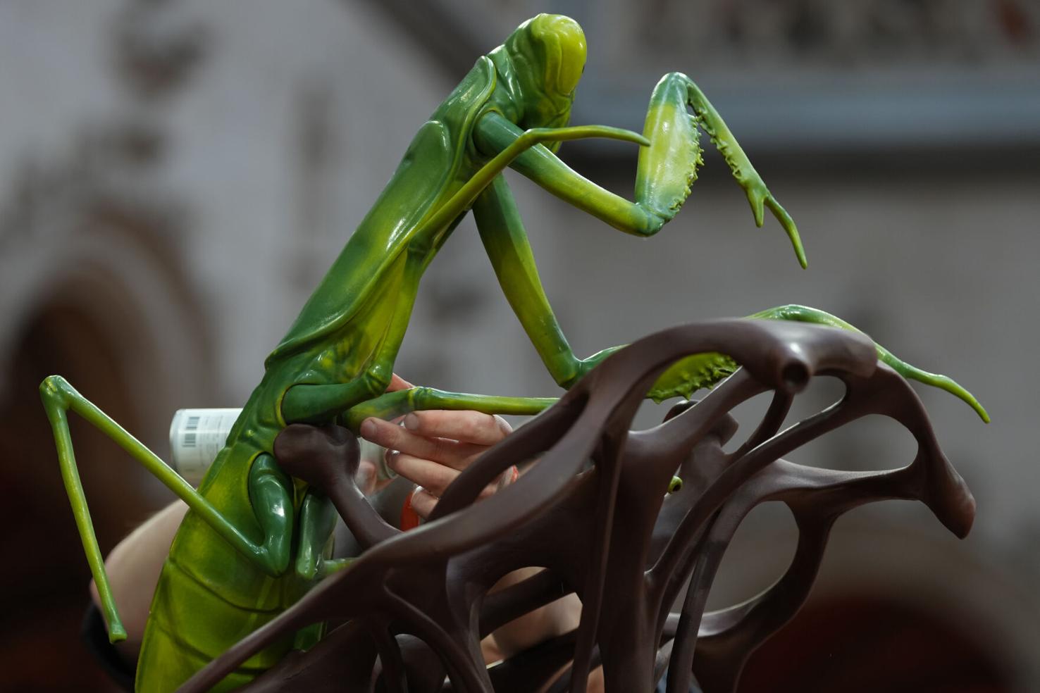Belgium Chocolate Masters | World | jonesborosun.com