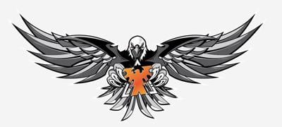Iron Eagles to start girls wrestling team | Journal-news | journal-news.net