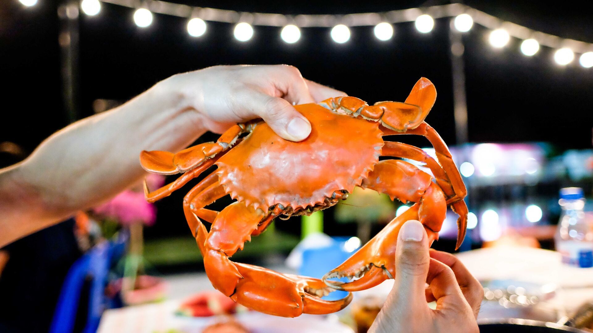 Shepherdstown Rotary Hosts Crab Feast Fundraiser on Sept. 22