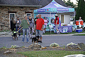 Bark at the Moon Glow Walk to light up Briggs Animal Adoption Center ...
