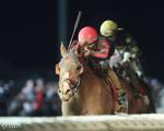 Charles Town Races releases 2026 stakes schedule | Charles Town ...