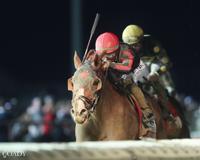 Charles Town Races releases 2026 stakes schedule | Charles Town ...
